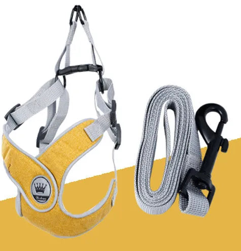 Adjustable breathable mesh dog harness vest with metal D-ring on a pet.