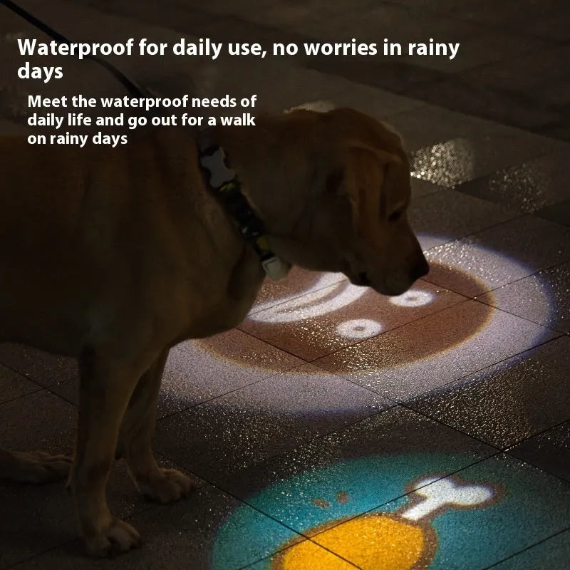 Pet Luminous Collar with small hanging lamp ring lit up, shown in one of four colour options.