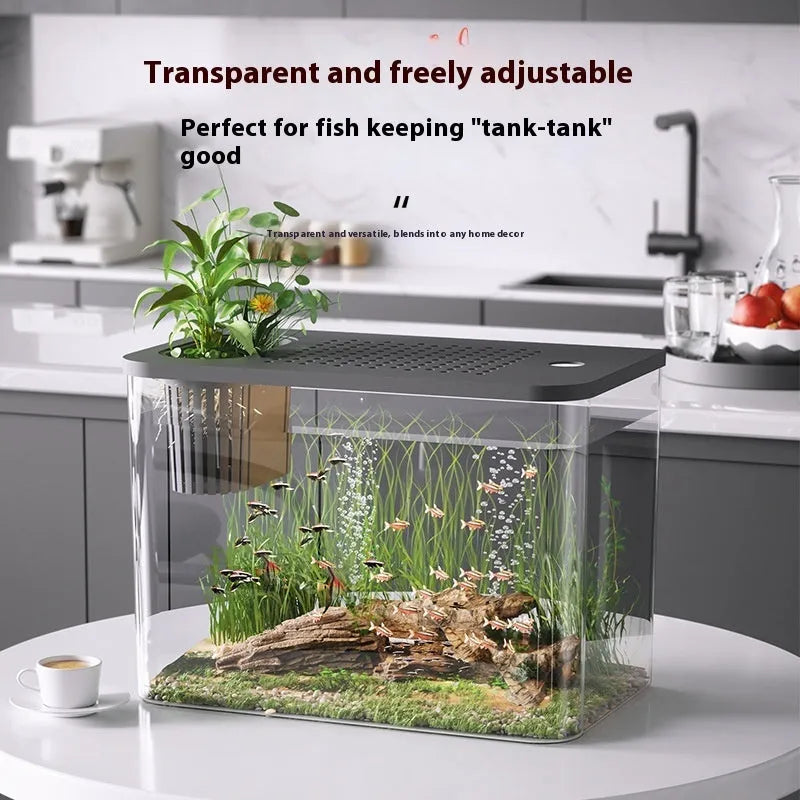 Medium black plastic betta tank with removable cover measuring 32cm long