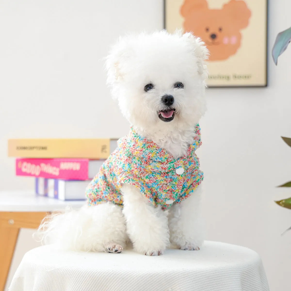 Candy coloured polyester pet hoodie for small puppy dog or cat in unisex style sizes XS to XL