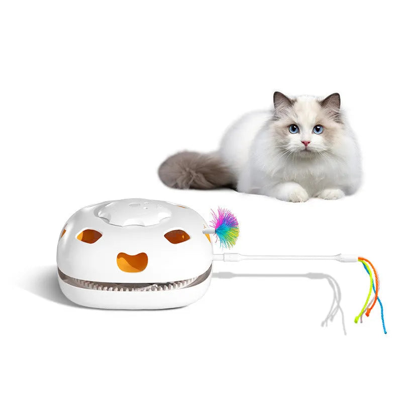 Self-hi relief interactive cat teaser toy with feather wobbler in picture colour.