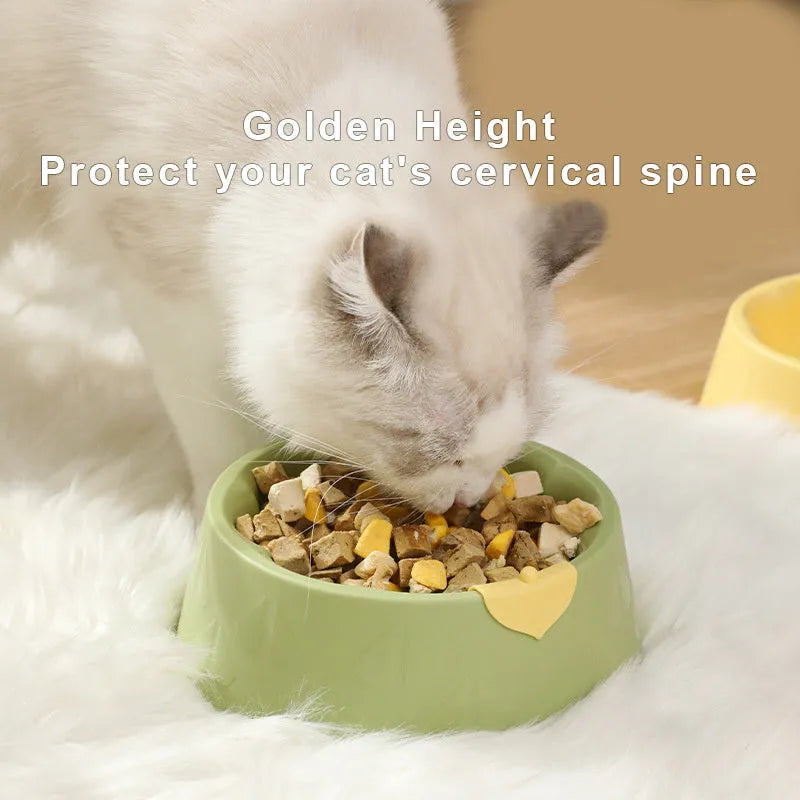 Green plastic double pet bowl with flower-shaped base for cat or small dog food and water.