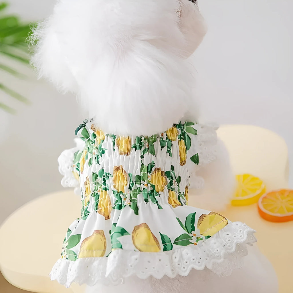 Rock yellow lemon princess-style dog dress skirt with thin straps, made from breathable polyester fabric.