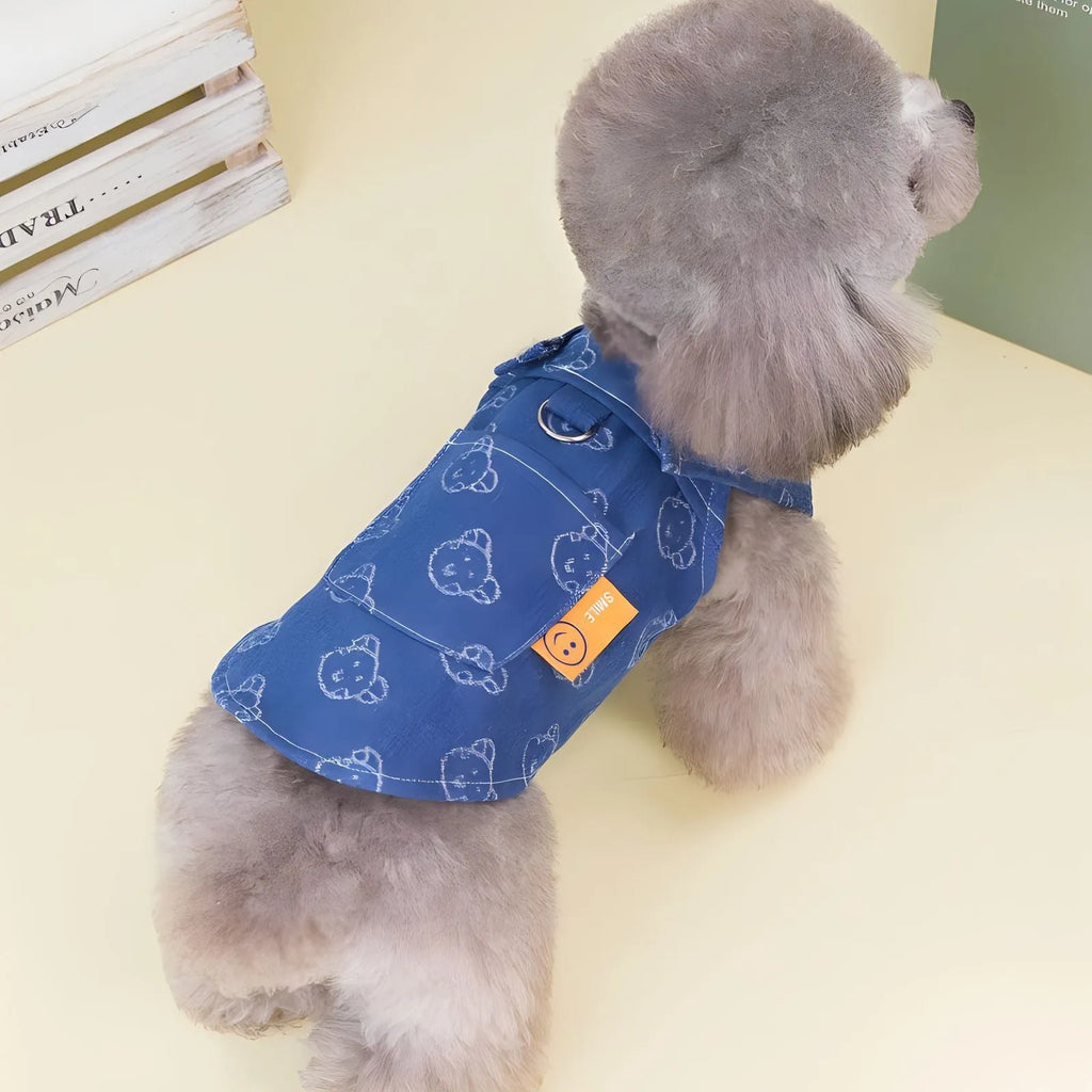 Teddy Bichon dog wearing denim princess dress with bracket skirt design