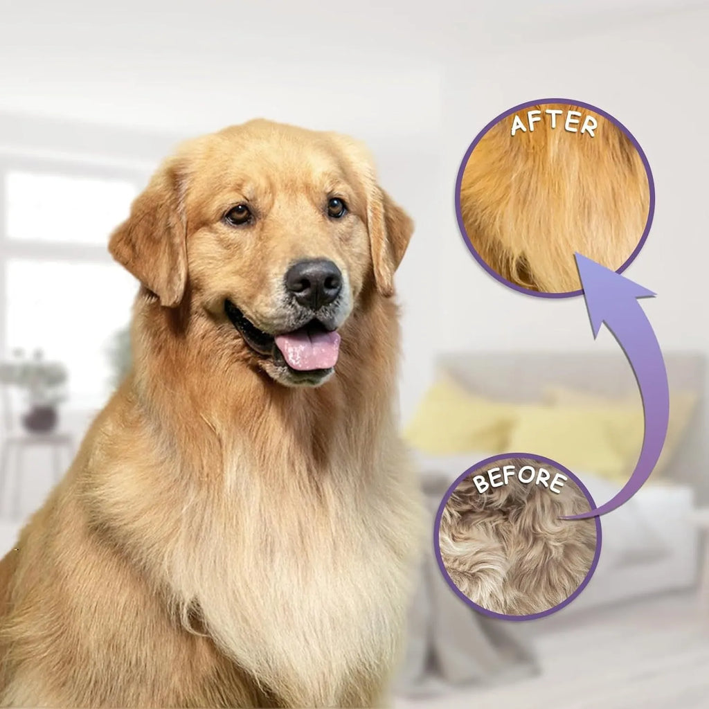 Purple pet grooming comb with stainless steel teeth on white background showing long and short tooth design