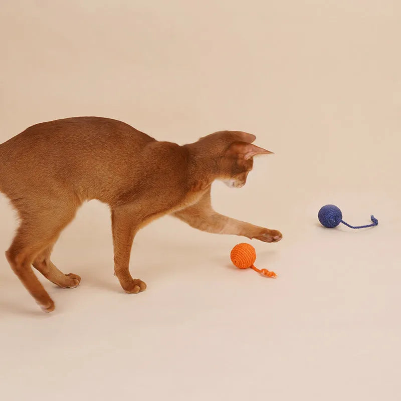 Cat teaser stick toy set with four bite-resistant elements including catnip balls in blue, green, red, yellow colours.