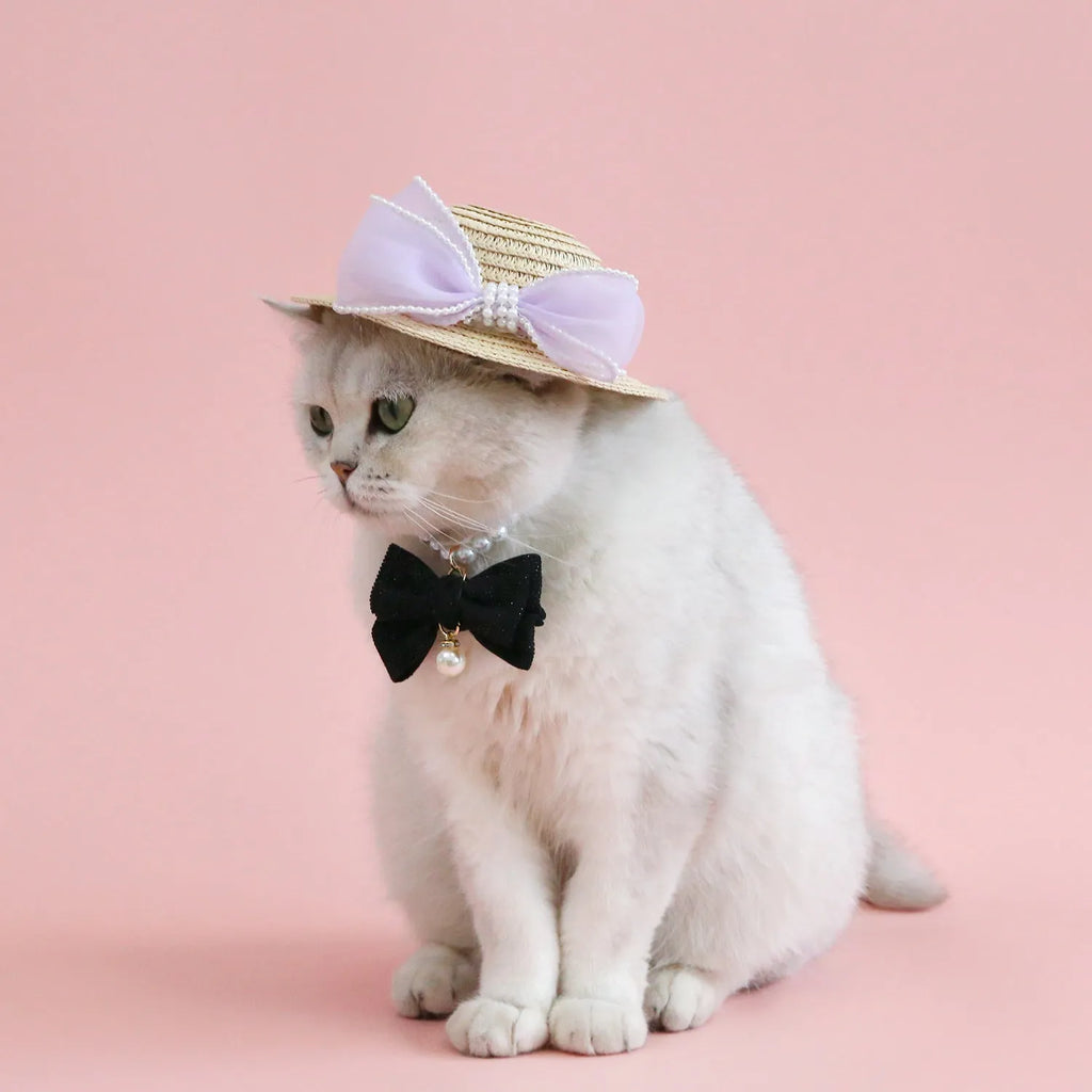 Pet cat wearing a woven Lafite leaf straw hat with a pearl butterfly decoration.
