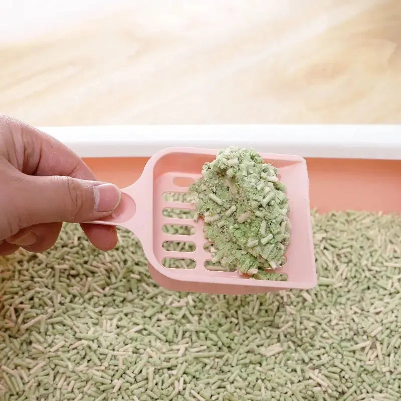 Blue plastic cat litter scoop shown on a white background.