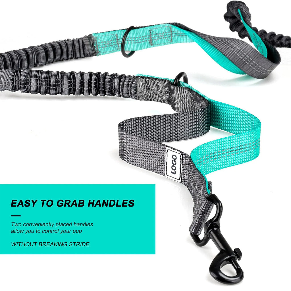 Black nylon dog walking waist bag and leash set for hands-free outdoor use
