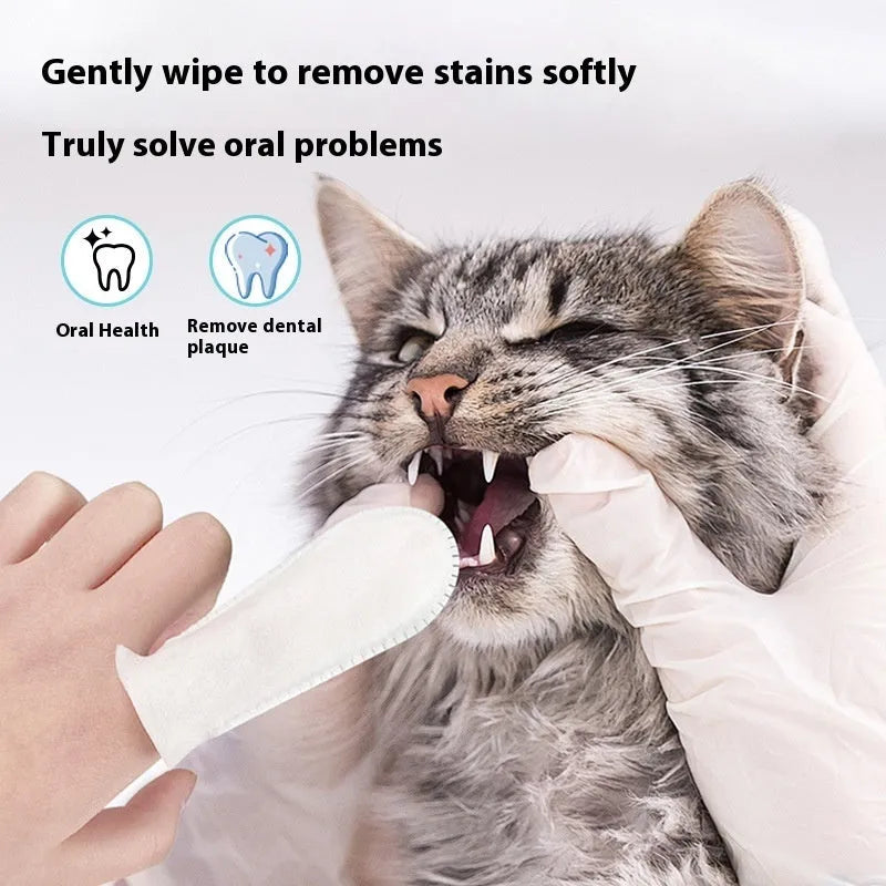 Pack of 50 disposable non-woven fabric pet dental finger cots for cleaning cat and dog teeth