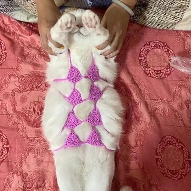 Cat wearing sweet style bikini costume in multiple colour options for Halloween and festivals