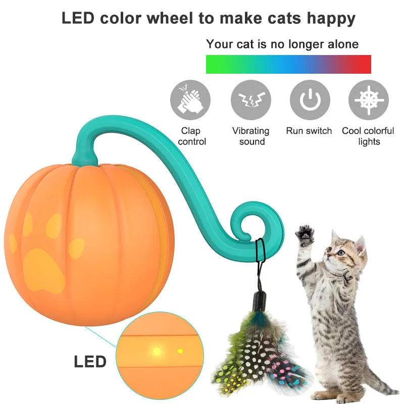 Automatic LED cat toy ball in watermelon green and pink or pumpkin orange design