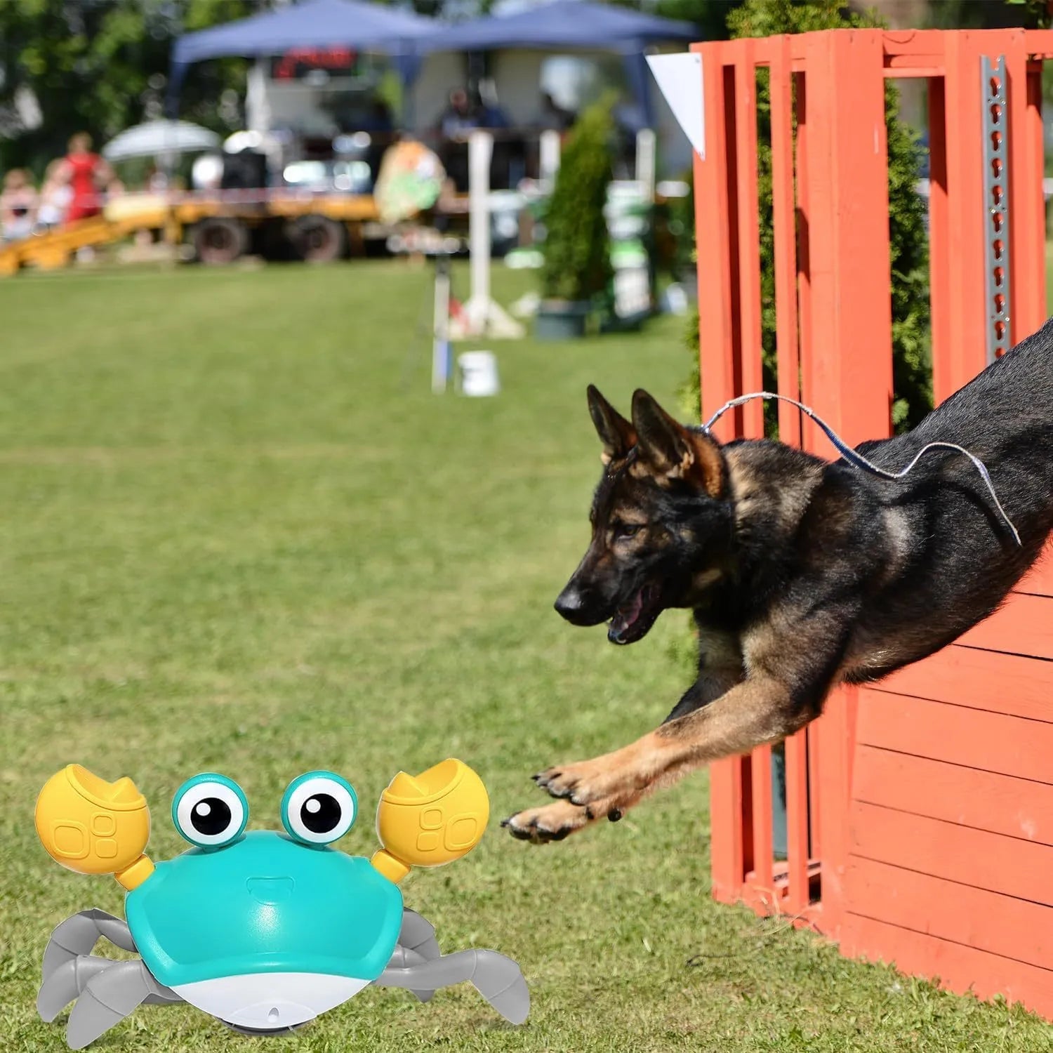 Blue or red crawling crab dog toy with obstacle avoidance sensors and LED lights