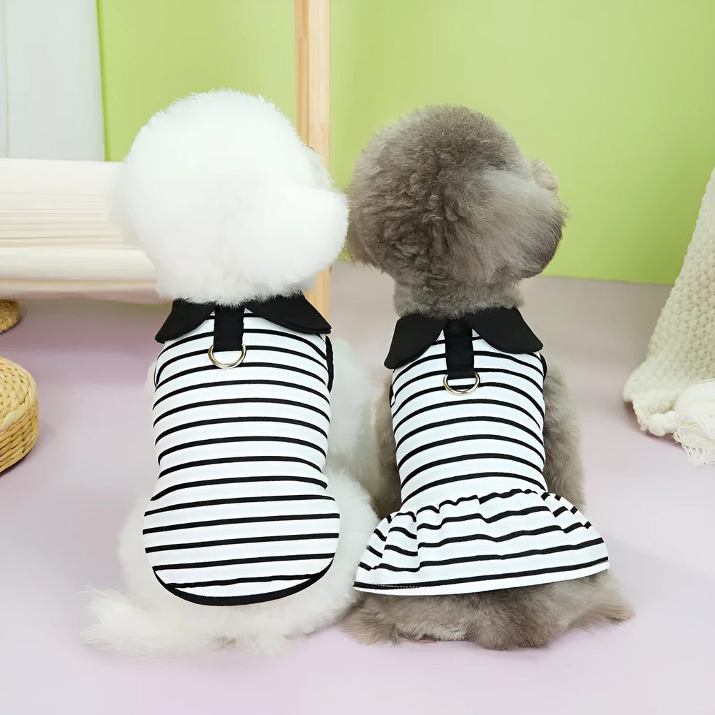 Cotton pet T-shirt and matching skirt set in summer stripes pattern for dogs or cats