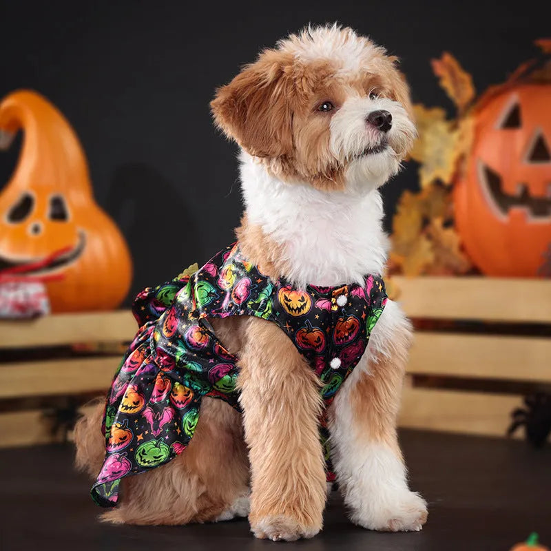 Halloween dog costume with angel wings in bright pumpkin colour, size medium