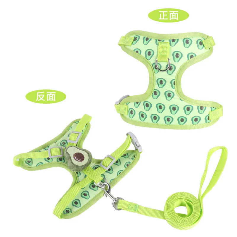 Reflective polyester dog harness with integrated lead in carrot colour for small dog walking