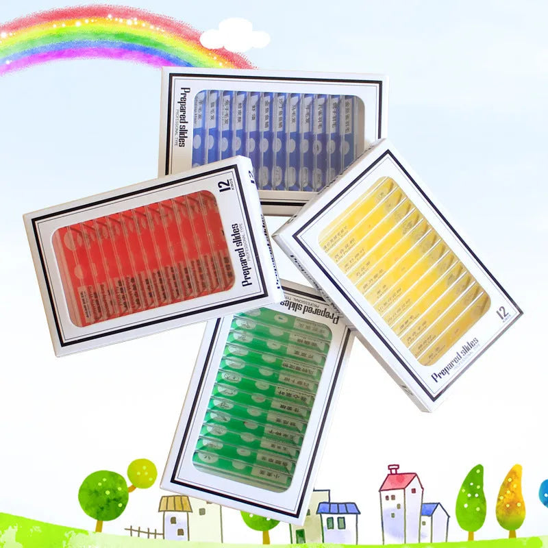 Plastic microscope slides with prepared biological specimens in red, green, yellow, and blue colour-coded categories