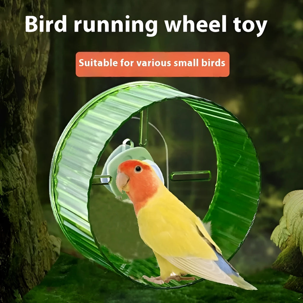 Plastic parrot running wheel toy in transparent colour showing rotating treadmill mechanism