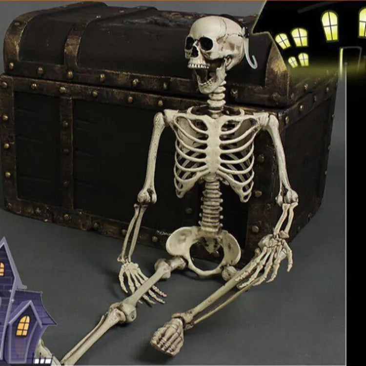 Life-size 170cm plastic skeleton prop standing upright with detailed bone structure