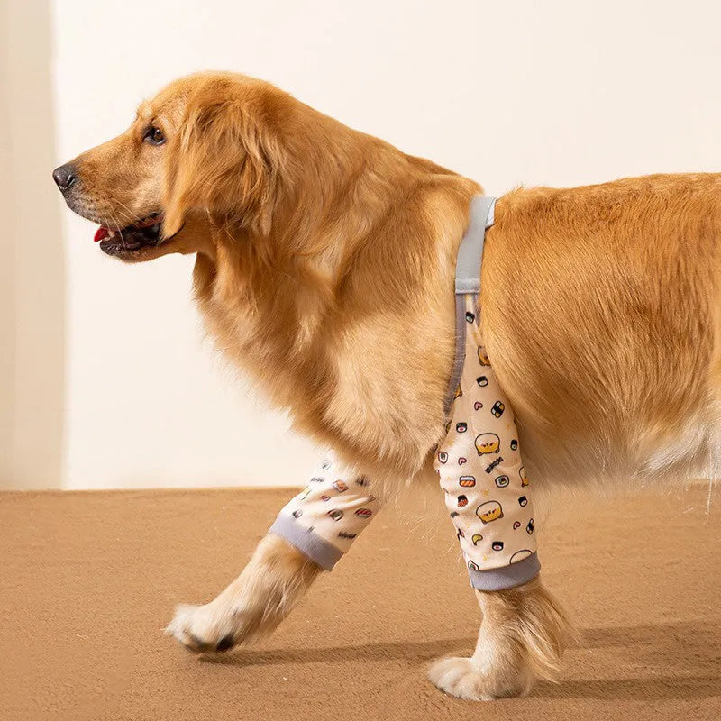 Adjustable dog knee protector with extra-thick elbow padding and matching scarf on medium breed dog