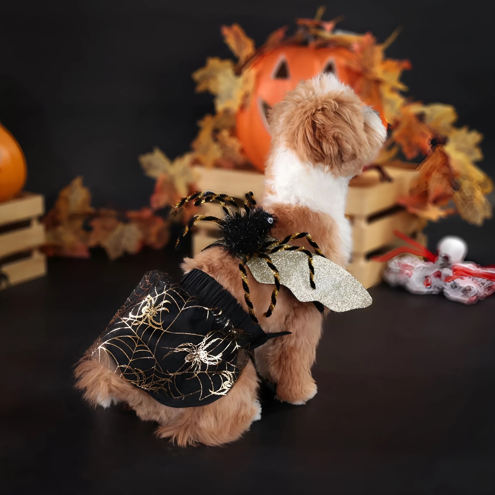 Polyester Halloween dog costume suit available in sizes S, M, L, and XL for canine party wear
