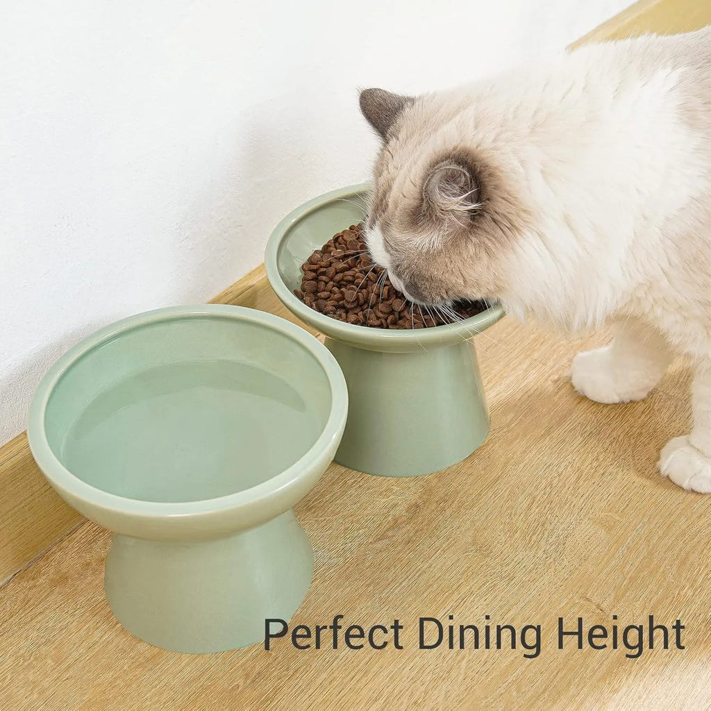 Ceramic elevated cat food bowl with wide shallow 16cm design in blue colour