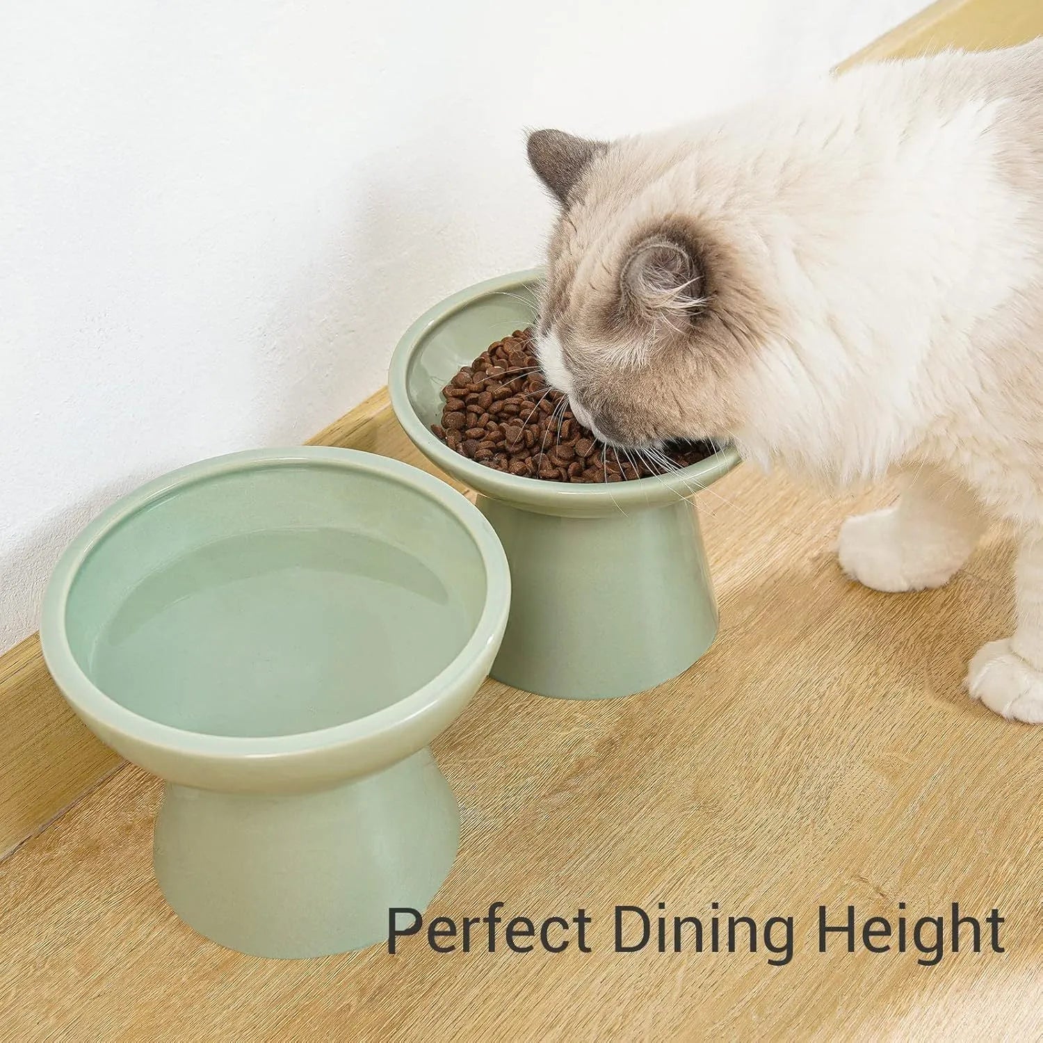 Ceramic elevated cat food bowl with wide shallow 16cm design in blue colour
