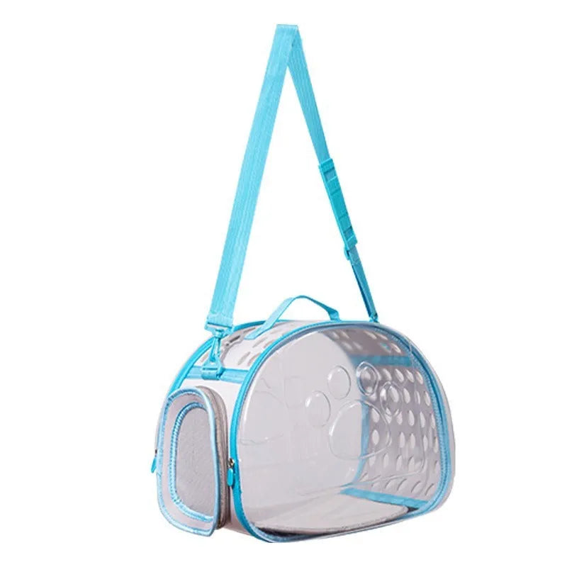 Transparent hard-shell EVA cat backpack carrier showing interior space