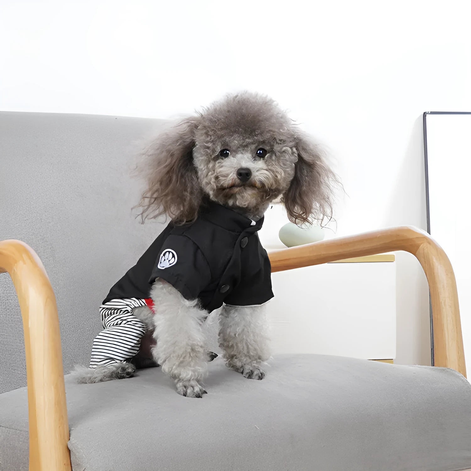 Thin cotton poodle dog clothes available in skirt or four-foot pants styles for seasonal wear