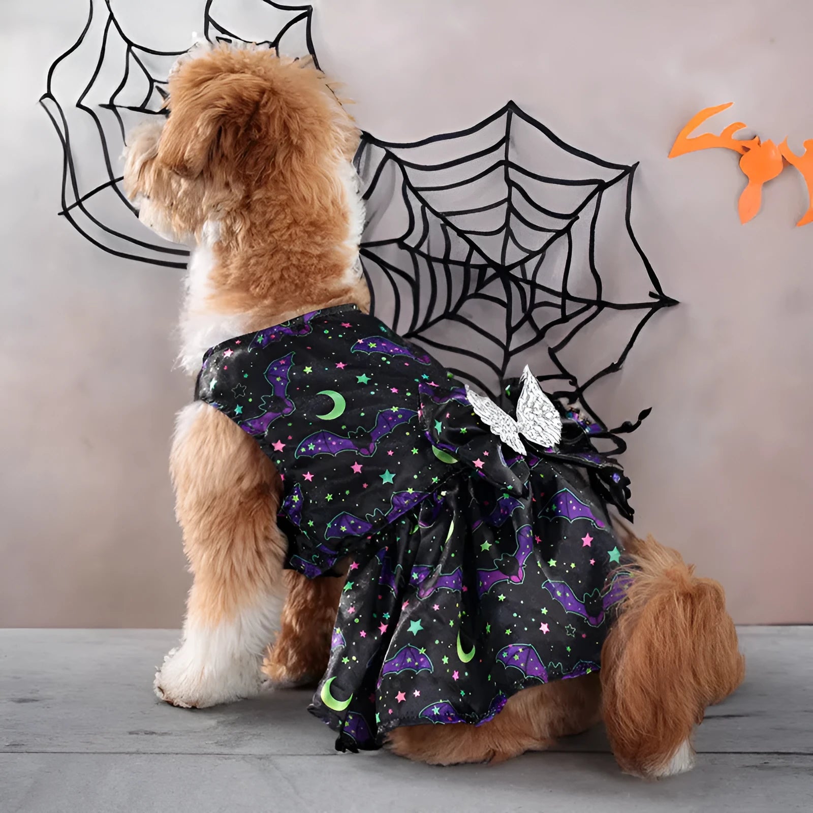 Halloween dog costume with angel wings in bright pumpkin colour, size medium