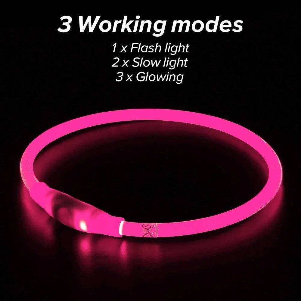 USB rechargeable LED dog collar glowing blue with adjustable 70cm length for night-time pet safety