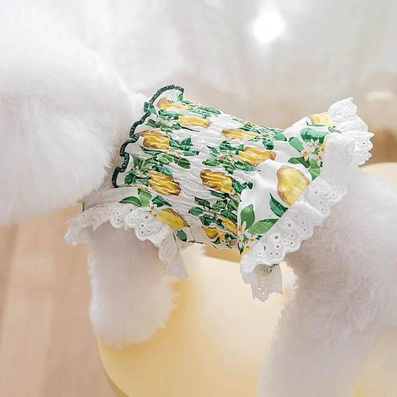 Rock yellow lemon princess-style dog dress skirt with thin straps, made from breathable polyester fabric.