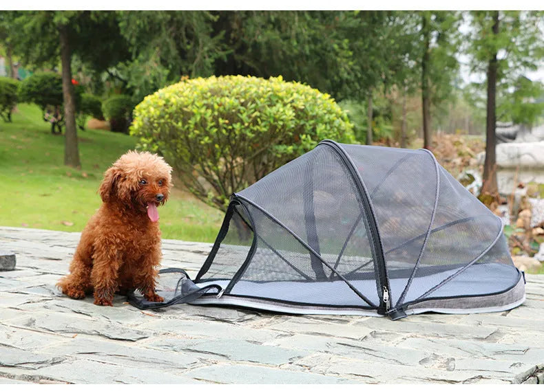 Folding cat tent with half mesh windows in collapsed and assembled positions
