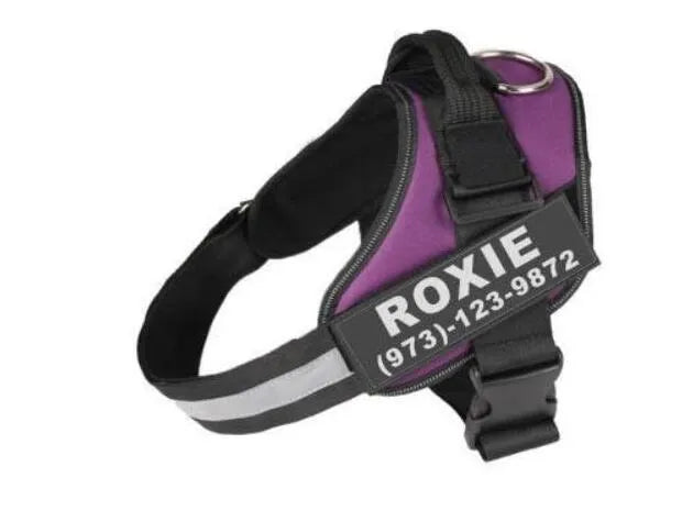 Adjustable nylon dog harness with reflective strips and a sturdy handle on a dog.