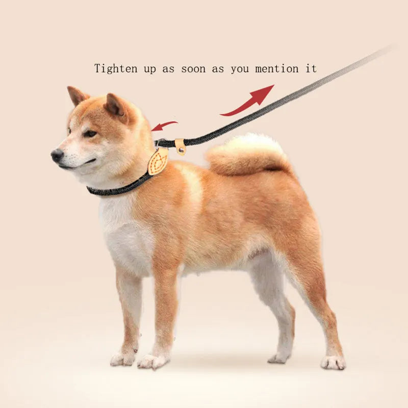 Blast race training dog collar and leash set with rope material in selected colour, showing automatic tightening feature.