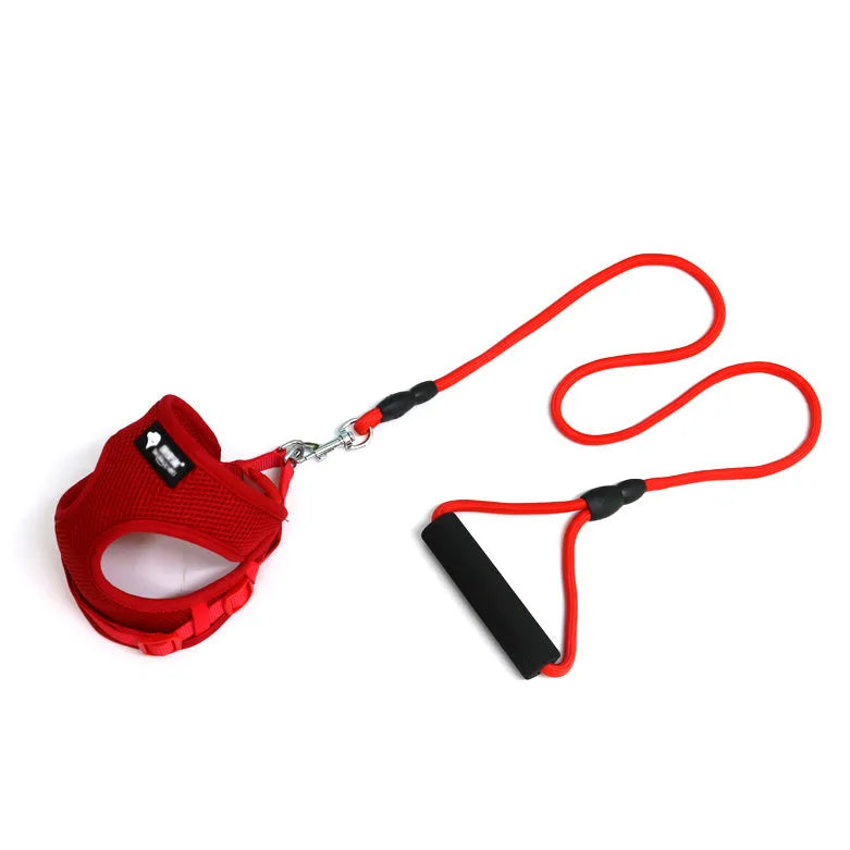 Blue dog leash and collar set with foam handle grip for small to medium dogs