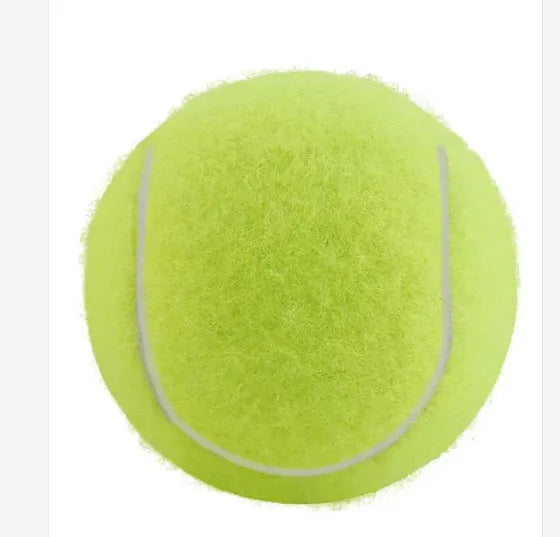 Blue, green, pink, and yellow 6.3cm rubber dog tennis balls for bite-resistant fetch play.