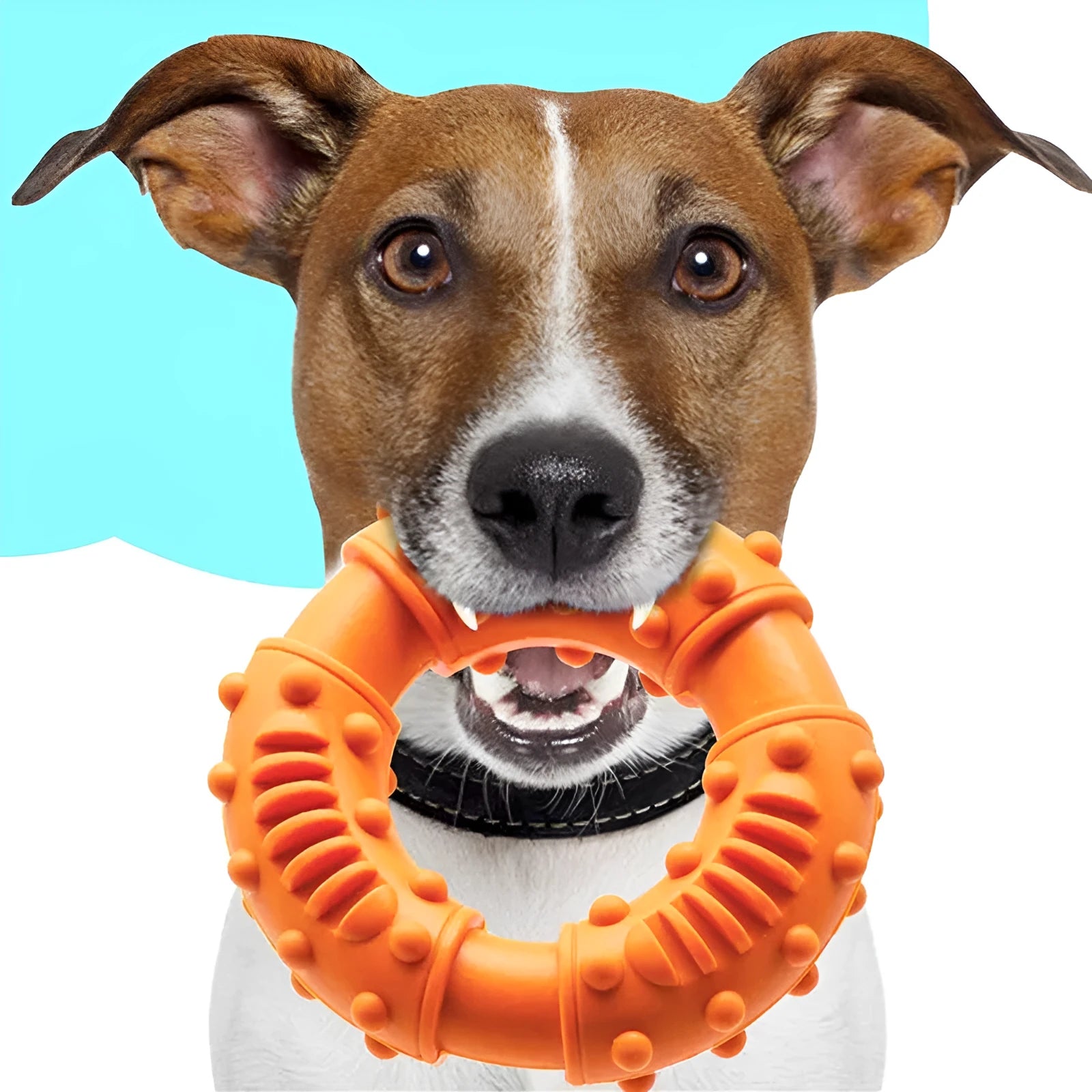 Lightweight hollow dog fetching stick toy in blue, orange, and red colours