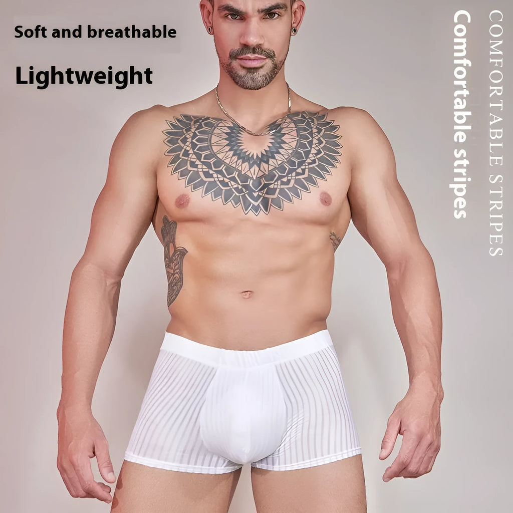 Men's thin transparent striped underwear in black, white and dark grey free size options