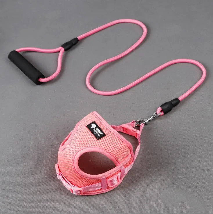 Blue dog leash and collar set with foam handle grip for small to medium dogs