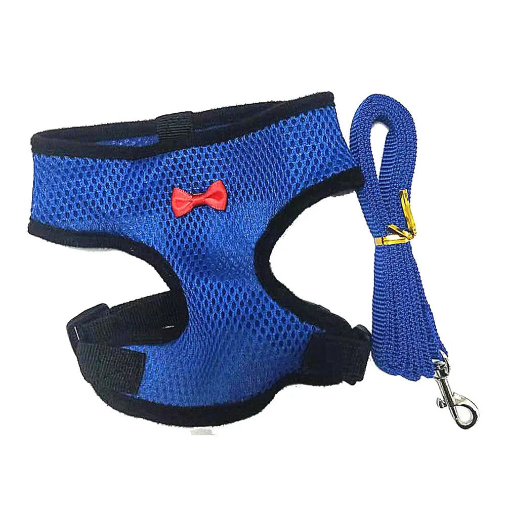 Adjustable chicken vest harness with matching bow collar and traction rope for poultry