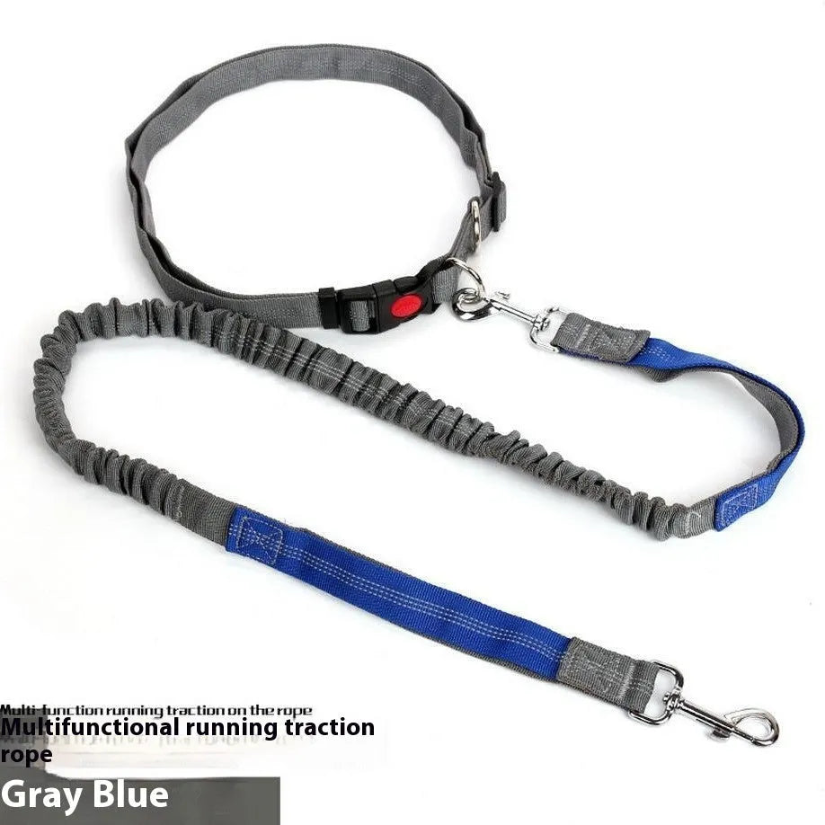 Reflective elastic dog leash in grey and green colour combination measuring 2.5cm wide