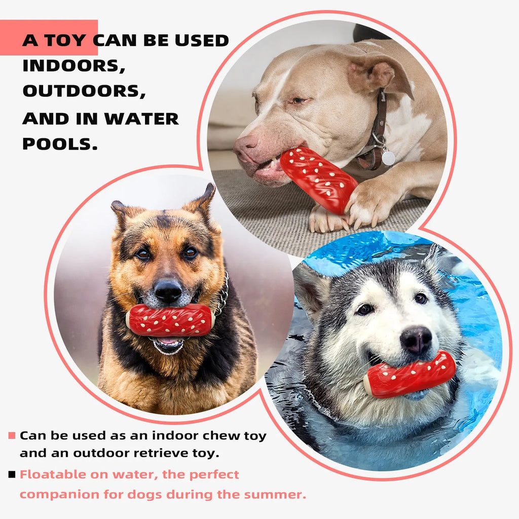 Plastic molar rod dog chew toy with treat dispensing holes