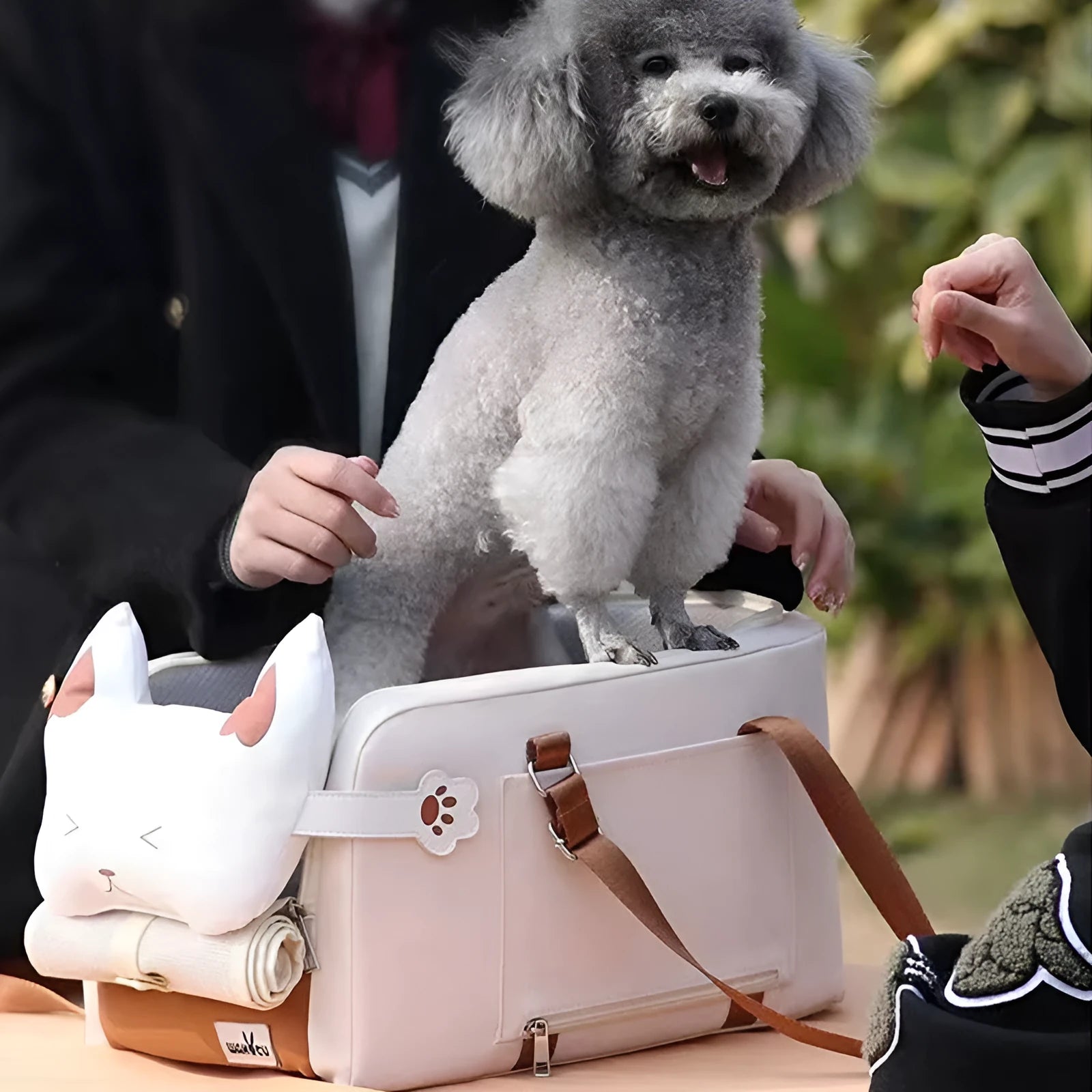 Beige hard-shell EPE padded portable cat carrier with one shoulder strap, shown next to measurements.