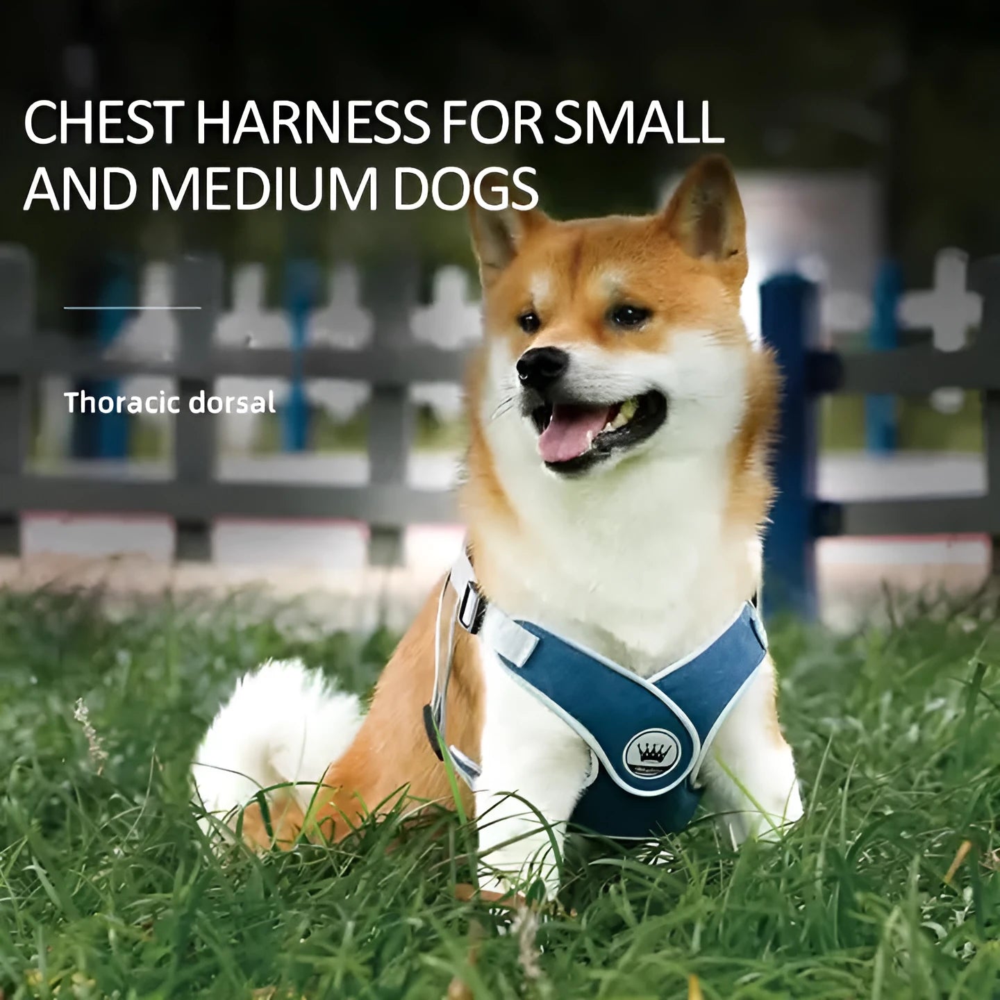 Adjustable breathable mesh dog harness vest with metal D-ring on a pet.