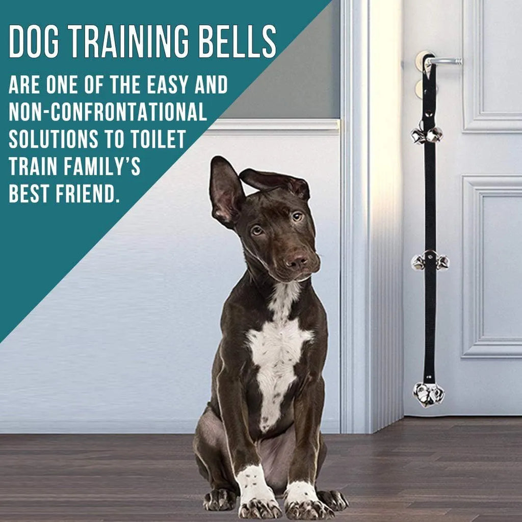 Silver metal dog training bells on an adjustable black nylon strap hanging from a door