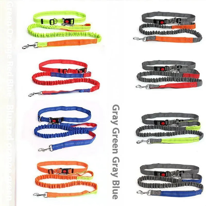 Reflective elastic dog leash in grey and green colour combination measuring 2.5cm wide