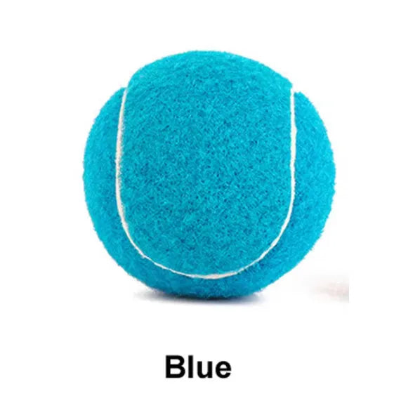 Blue, green, pink, and yellow 6.3cm rubber dog tennis balls for bite-resistant fetch play.