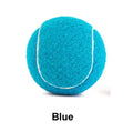 Blue, green, pink, and yellow 6.3cm rubber dog tennis balls for bite-resistant fetch play.