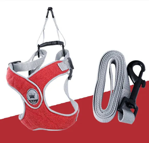 Adjustable breathable mesh dog harness vest with metal D-ring on a pet.